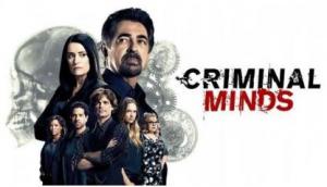 犯罪心理第五季/全集Criminal Minds(5)