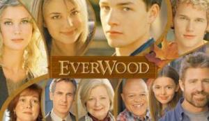 [美剧]雪山镇第一季/全集Everwood